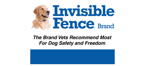 Cheap Lawn Sign - 18x24 One Color to Full Color on White 100 Sign Package